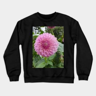 Rainy Pink Dahlia 2 Crewneck Sweatshirt